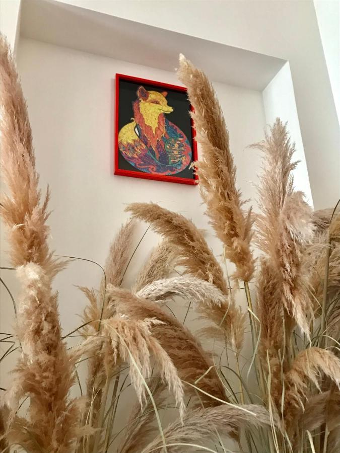 דירות לצ'ה La Urpe מראה חיצוני תמונה